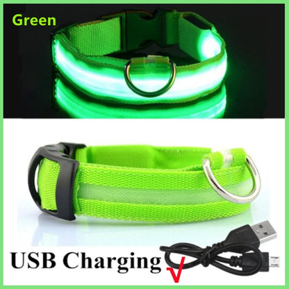 AMAZING GLOW IN THE DARK!  LED Dog Collar