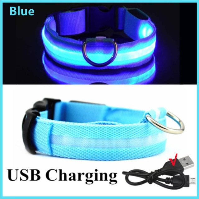 AMAZING GLOW IN THE DARK!  LED Dog Collar