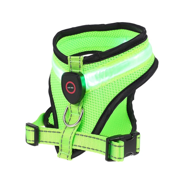 Benepaw Rechargeable LED Light Dog Harness