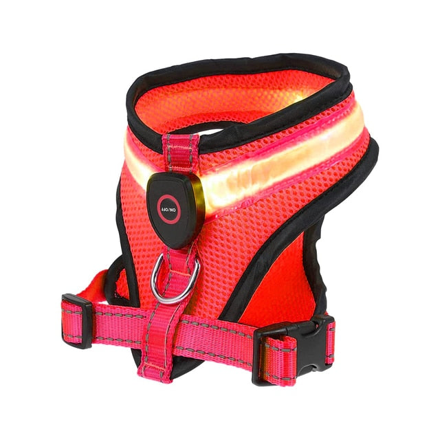 Benepaw Rechargeable LED Light Dog Harness