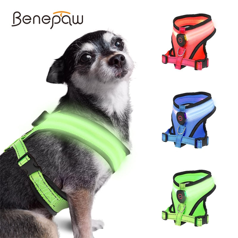 Benepaw Rechargeable LED Light Dog Harness